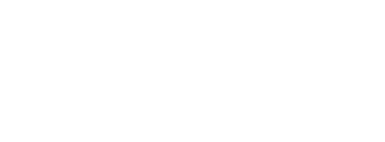 логотип zornetMedia