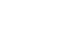 логотип optimization