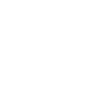 логотип svistunoff