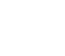 логотип svistunoff