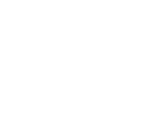 логотип svistunoff